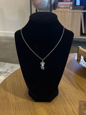 Sterling Silver Frog Charm Necklace in Silver